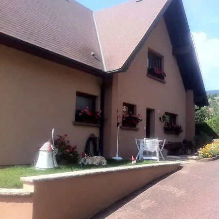 Chez Jean Paul Fréland